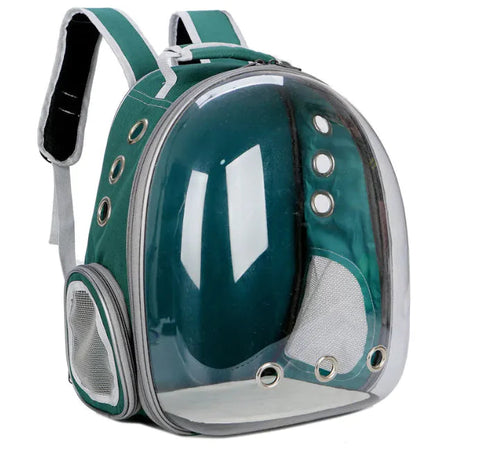 Pet Bag Frugal Finds Galore