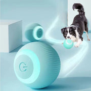 Electric Dog Toys Frugal Finds Galore