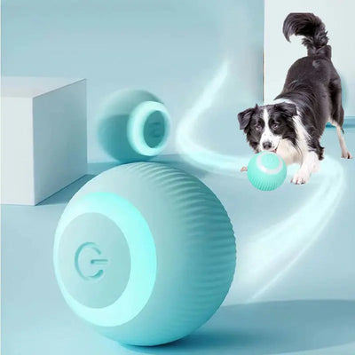 Electric Dog Toys Frugal Finds Galore
