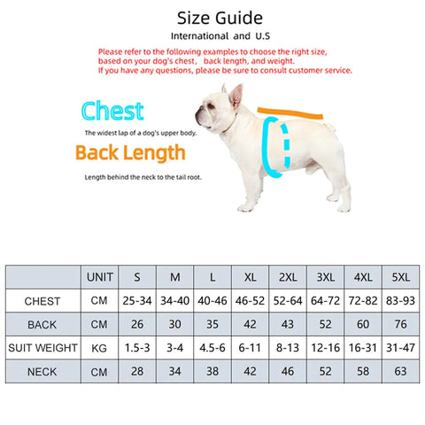 The Modern Paws Dog Coat Frugal Finds Galore