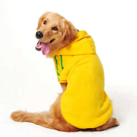 Pet Clothing Collection Frugal Finds Galore