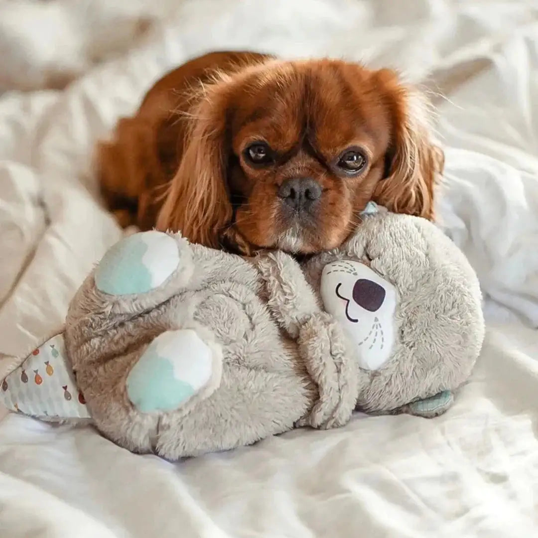 Soothen Snuggle Otter Toy