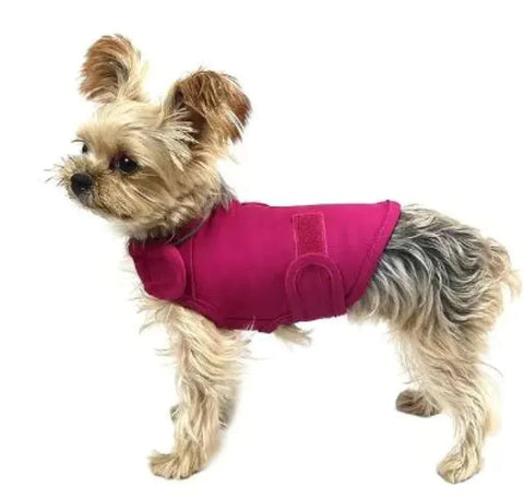 Calm Paws Anxiety Relief Tank Frugal Finds Galore