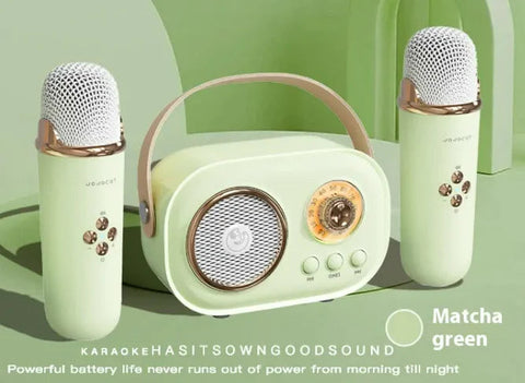 Portable Bluetooth Audio With Wireless Microphone Frugal Finds Galore