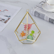 Three-dimensional Glass Dust-proof Greenhouse Frugal Finds Galore