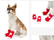 Cozy and Stylish Footwear for Pets Frugal Finds Galore