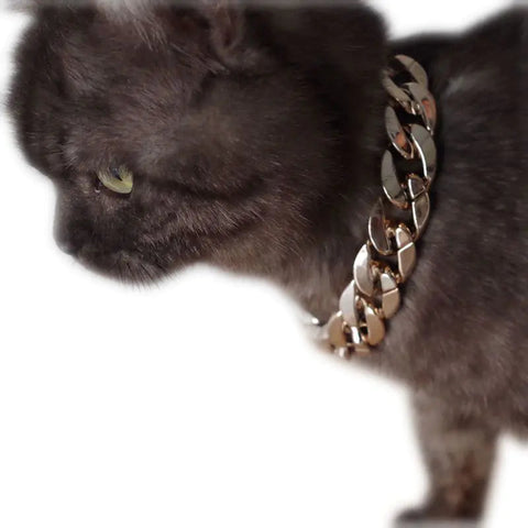 Pet Necklace Chain, Pet Accessories, Gold Chain for Pets Frugal Finds Galore