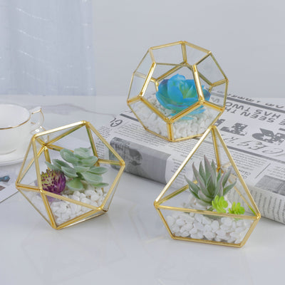Three-dimensional Glass Dust-proof Greenhouse Frugal Finds Galore