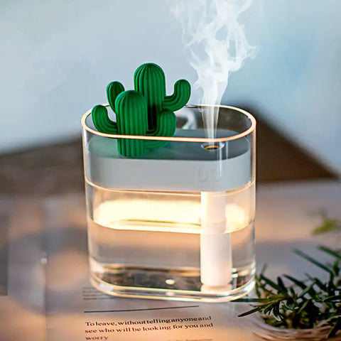 Clear Cactus Humidifier Frugal Finds Galore