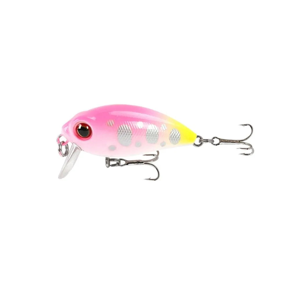 Fishing Lure