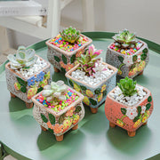 Square Creative Cute Cartoon Ceramic Succulent Pot Frugal Finds Galore
