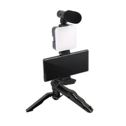 Multifunctional Desktop Beauty Leg Light with Microphone Frugal Finds Galore