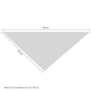 New Pet Triangle Scarf for Pregnancy Announcement Frugal Finds Galore