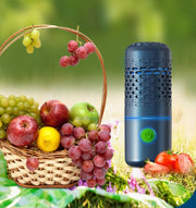 Source Universe Portable Fruit And Vegetable Washing Machine Fruit And Vegetable Washing Machine Household Meat Food Purifier Frugal Finds Galore