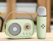 Portable Bluetooth Audio With Wireless Microphone Frugal Finds Galore