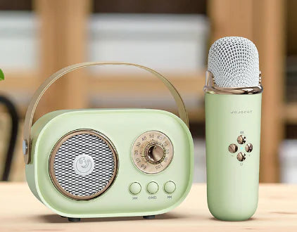 Portable Bluetooth Audio With Wireless Microphone Frugal Finds Galore