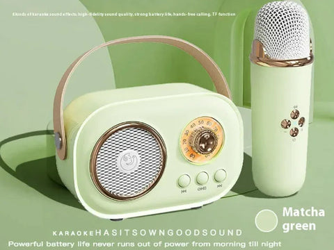 Portable Bluetooth Audio With Wireless Microphone Frugal Finds Galore
