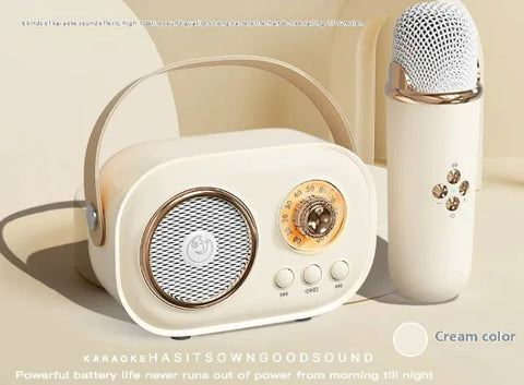 Portable Bluetooth Audio With Wireless Microphone Frugal Finds Galore