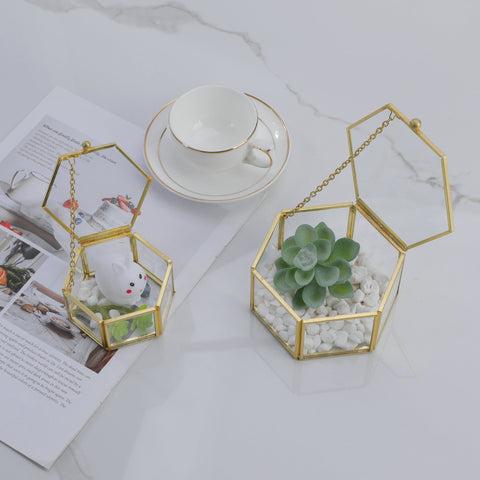 Three-dimensional Glass Dust-proof Greenhouse Frugal Finds Galore