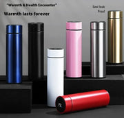 Smart Display Vacuum Cup Frugal Finds Galore