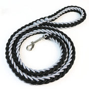 Woven Eight-Strand Dog Leash with Hand Grip Frugal Finds Galore