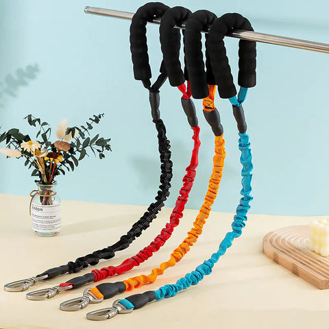 Outdoor Nylon Woven Dog Walking Leash Frugal Finds Galore