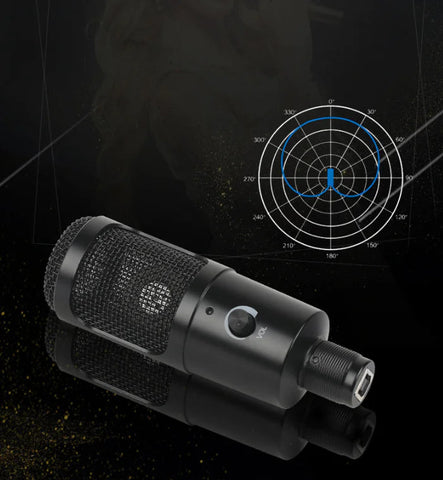 "Computer Game Streaming Condenser Microphone" Frugal Finds Galore