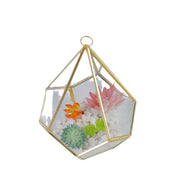 Three-dimensional Glass Dust-proof Greenhouse Frugal Finds Galore
