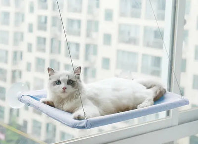 Pet Window Hammock Frugal Finds Galore