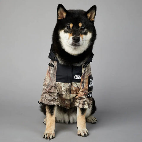 The Modern Paws Dog Coat Frugal Finds Galore
