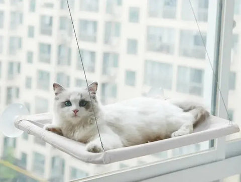 Pet Window Hammock Frugal Finds Galore