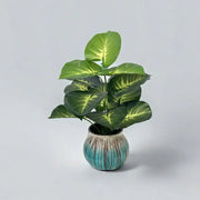 Back Of Turtle Artificial Plant Frugal Finds Galore