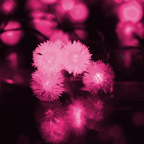 Yellow Snowball Solar String Lights Frugal Finds Galore