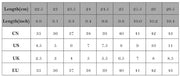 Size chart for Chic Embroidered Lace-Up Mid-Calf Boots in blue, showing measurements in centimeters, inches, and international sizes.
