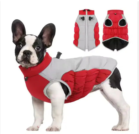 Windproof Winter Pet Clothes Frugal Finds Galore