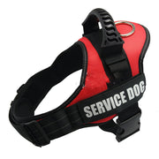 Reflective Pet Harness Leash Set Frugal Finds Galore