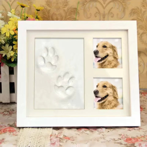 Pet Pawprint  Frame DIY Frugal Finds Galore