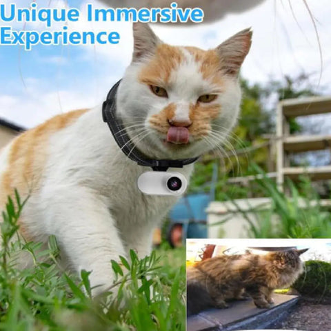 Mini Outdoor Pet Travel Camera Frugal Finds Galore