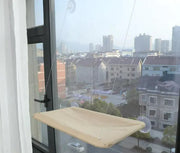 Comfortable Pet Hammock Frugal Finds Galore