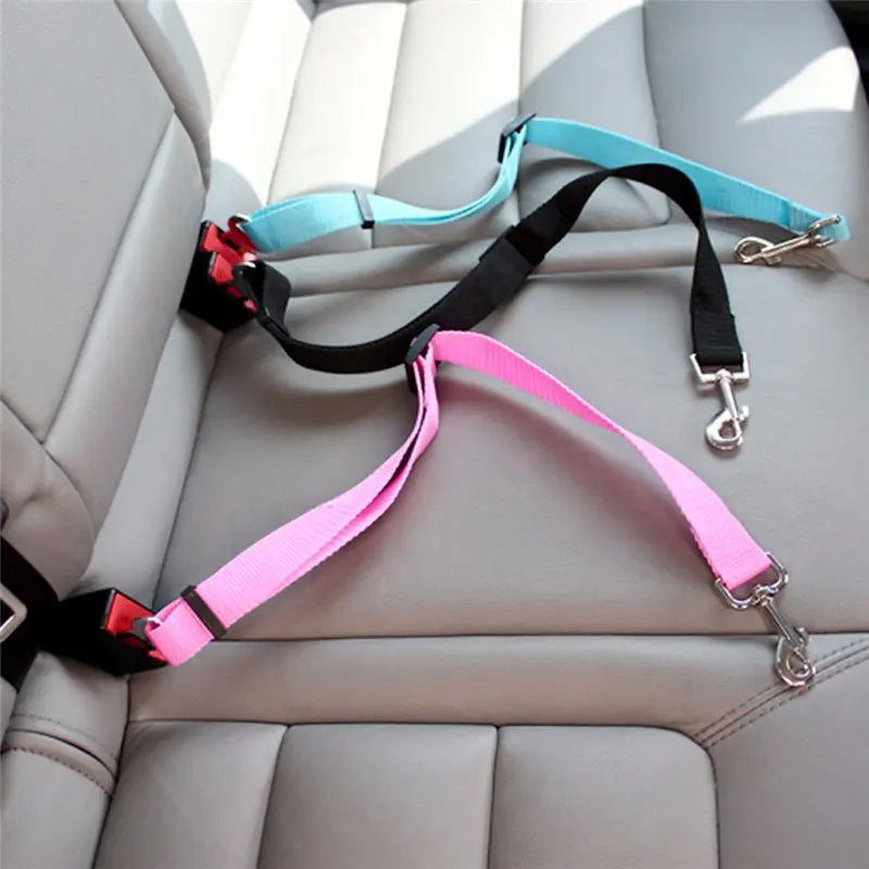 Dog Leash Seatbelt
Pets
Car Ride Safety
Dogs


