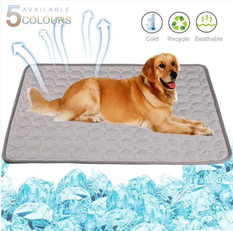 Cool Paws Portable Summer Pad Frugal Finds Galore