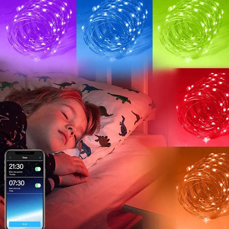 Bluetooth LED String Lights