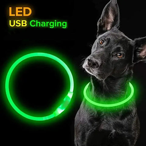 Safety Flashing Glow Dog Collar Frugal Finds Galore