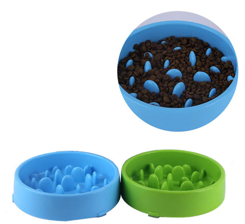 Pet Slow Feed Bowl for Healthy Digestion and Weight Loss Frugal Finds Galore