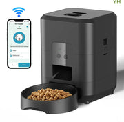 Smart Automatic Pet Feeder Frugal Finds Galore