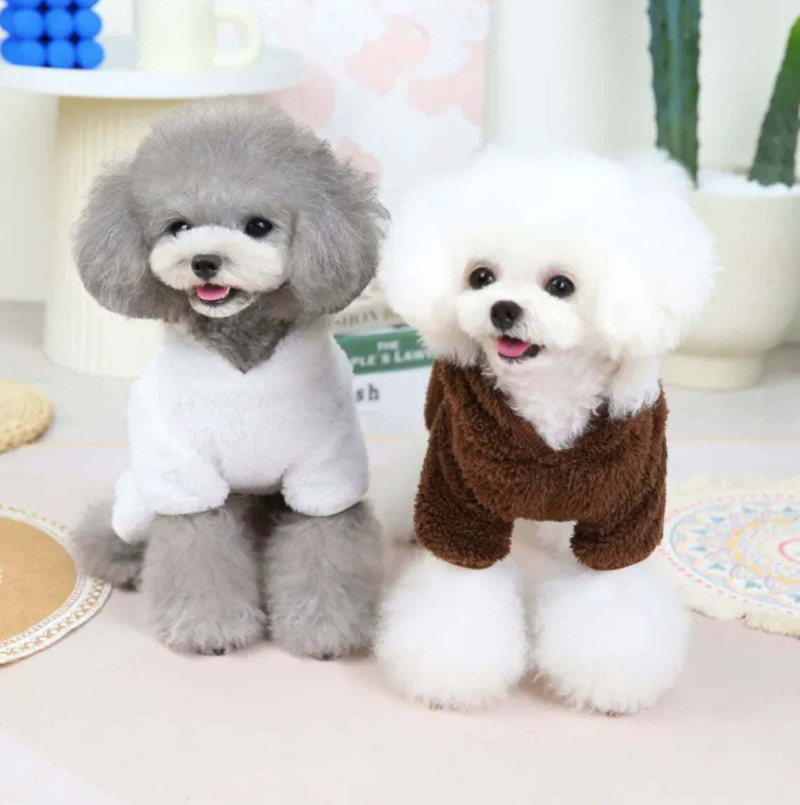 Fluffy Bear  Four-Legged Dog Jacket