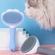 Pet Hair Removal Comb Frugal Finds Galore