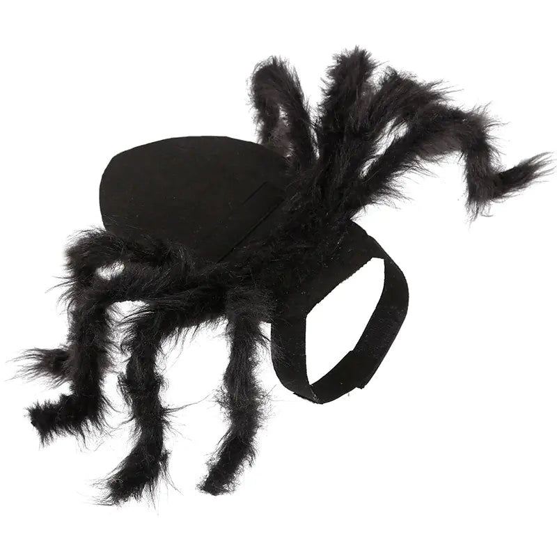 Disfraz de araña para Halloween para mascotas