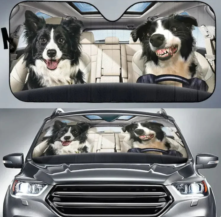 Car Sunshade Heat Insulation