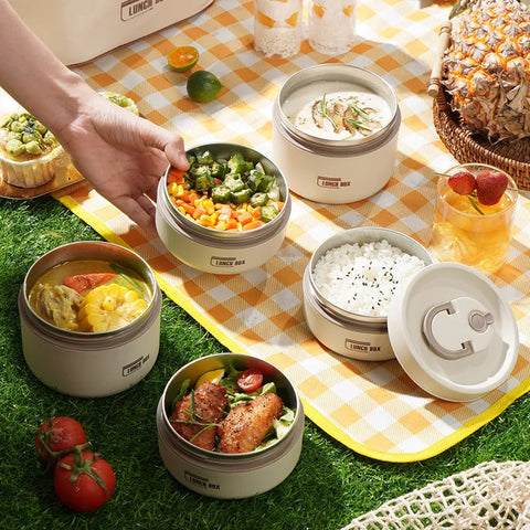 Portable Insulated Lunch Box With Cover Frugal Finds Galore